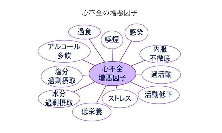 Vol.31：心臓にとって最も厳しい季節を乗り切る　冬に心血管リスクが上がるのはなぜ？